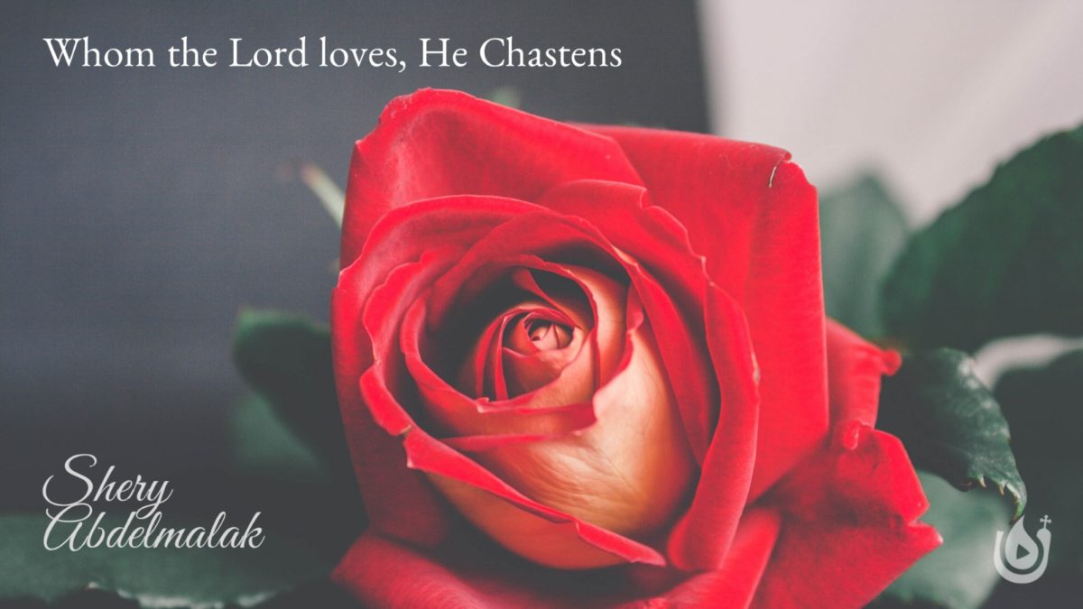 Whom the Lord Loves, He Chastens