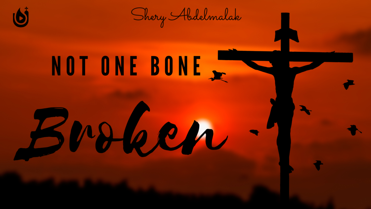 Not One Bone Broken