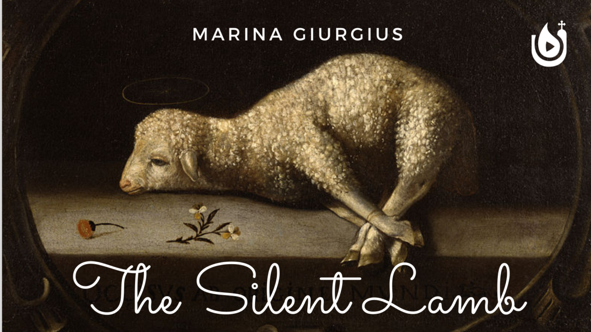 The Silent Lamb
