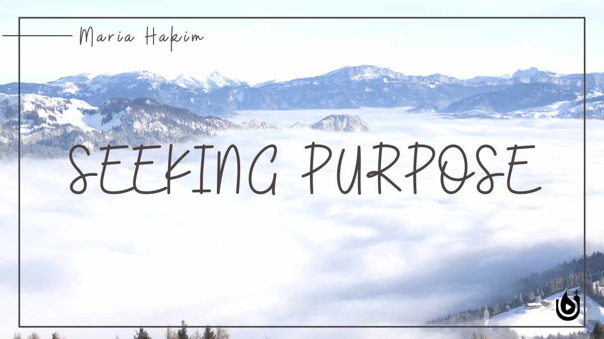 Seeking Purpose