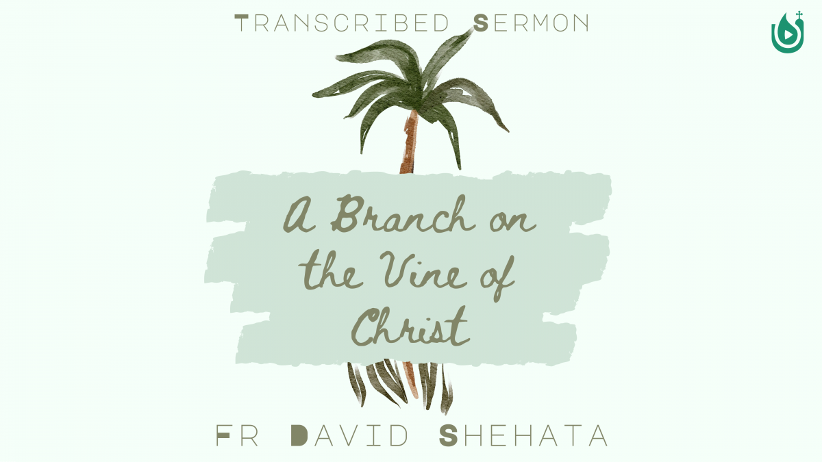 A Branch on the Vine of Christ